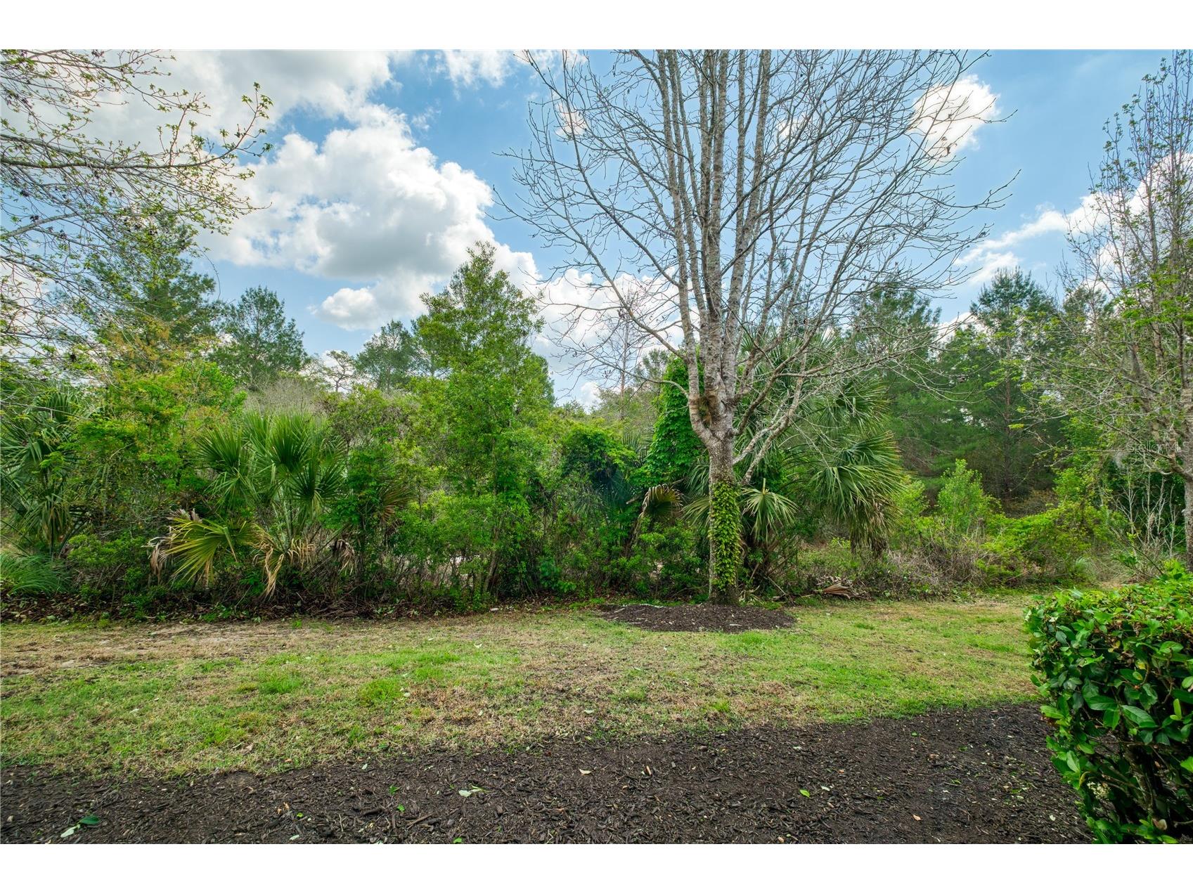 873 Assembly Court Reunion FL 34747 O6394463 image31