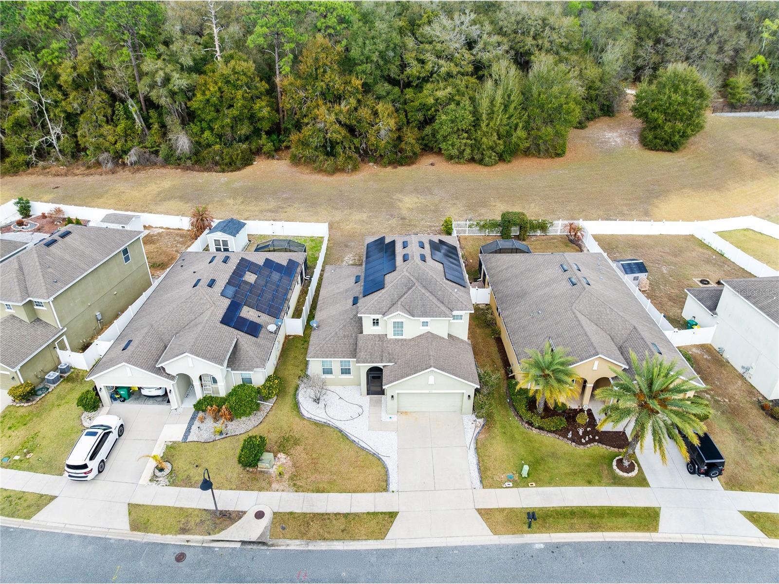 873 Haring Lane Mount Dora FL 32757 O6384772 image31