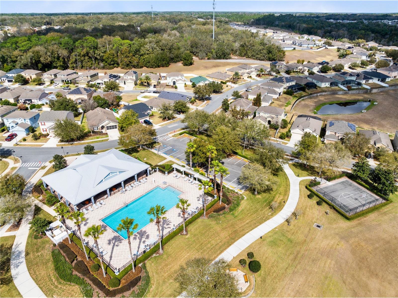 873 Haring Lane Mount Dora FL 32757 O6384772 image33