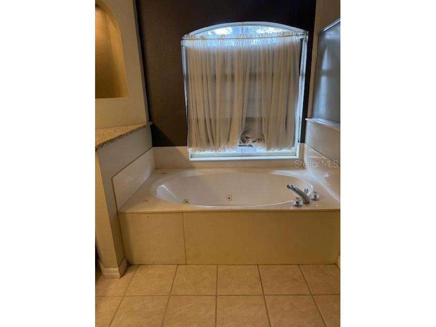 873 Pickfair Terrace Lake Mary FL 32746 - LAKE DAWSON O6389470 image46