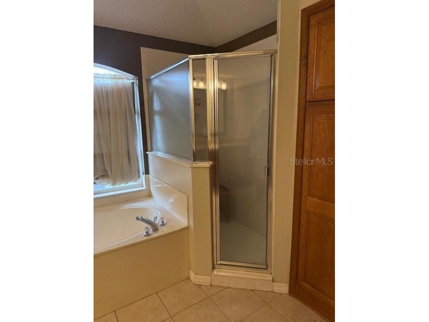 873 Pickfair Terrace Lake Mary FL 32746 - LAKE DAWSON O6389470 image47