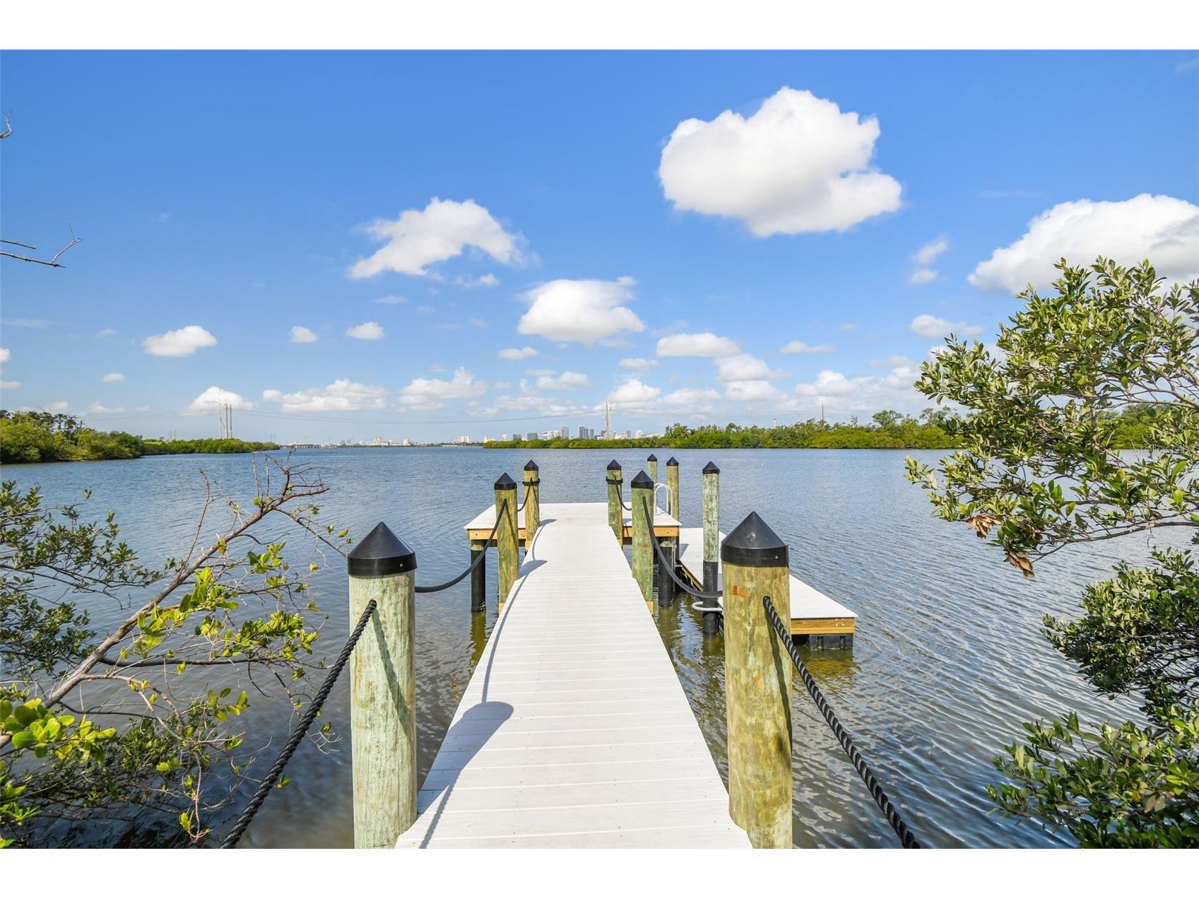 873 Tennyson Mill Circle Tampa FL 33619 TB8518070 image35