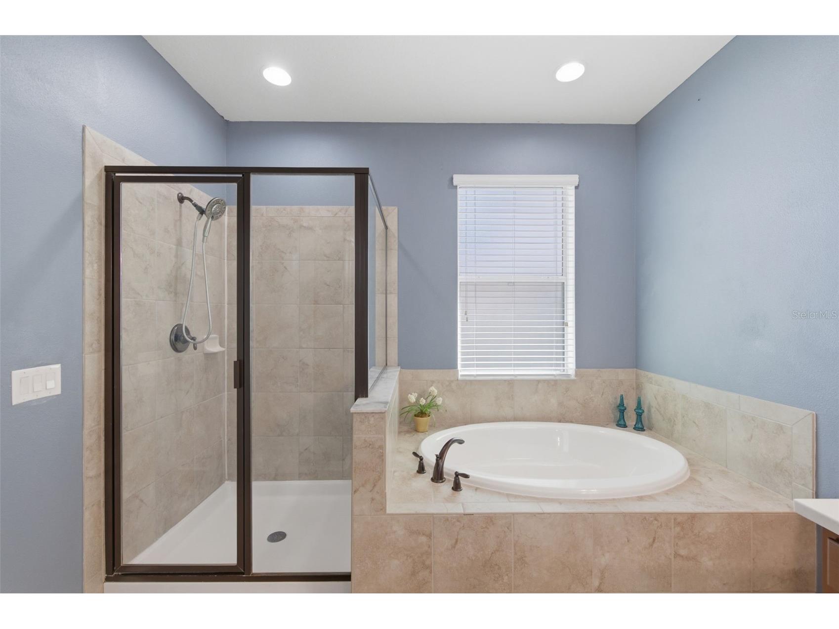 8730 Briggs Marsh Court New Port Richey FL 34654 - WEST MOON LAKE W7884416 image41