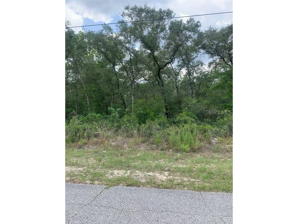 8730 N Gilovu Drive Citrus Springs FL 34433 OM659682 image1