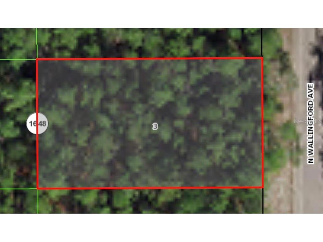 8730 N Wallingford Avenue Citrus Springs FL 34434 A4578272 image1