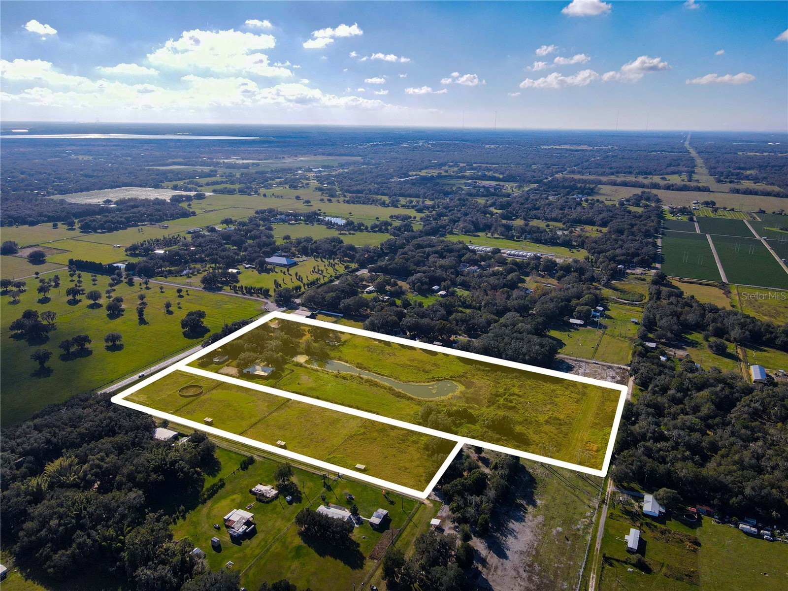 8731 Lithia Pinecrest Road Lithia FL 33547 TB8494845 image3