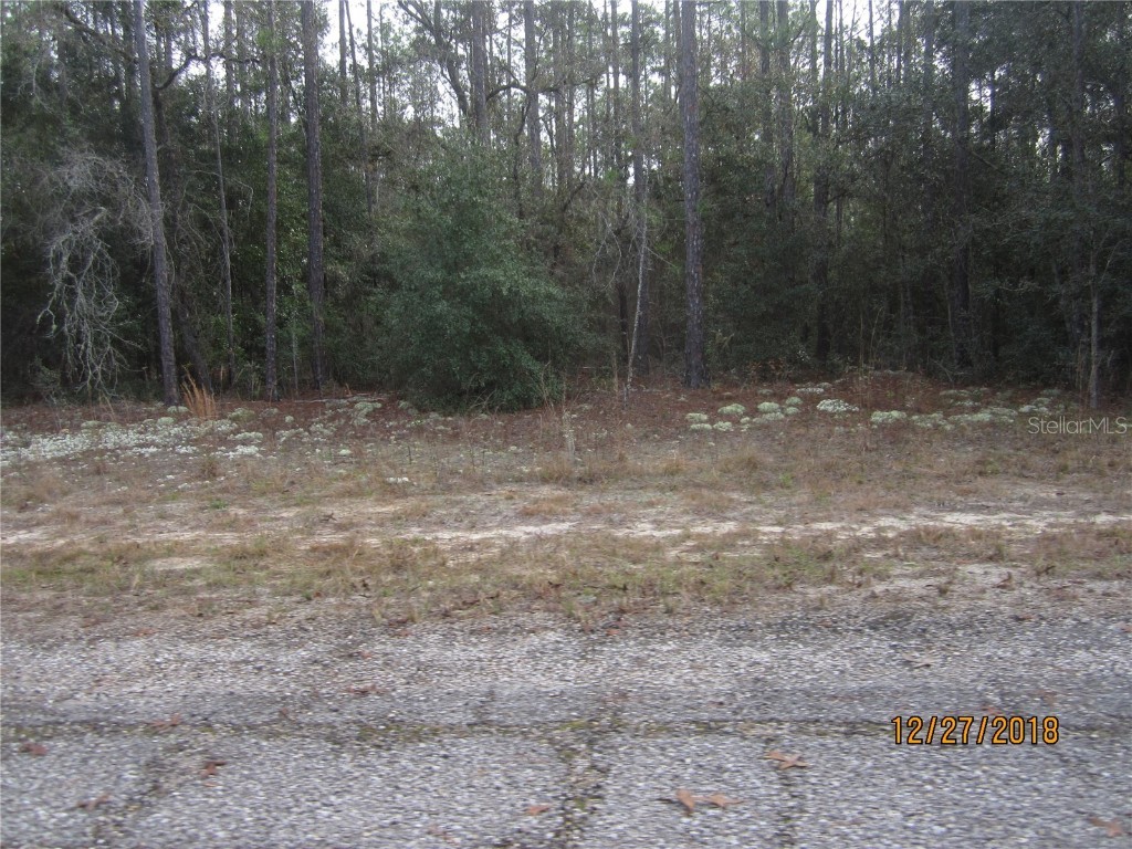 8731 N Teather Terrace Citrus Springs FL 34434 OM663039 image1