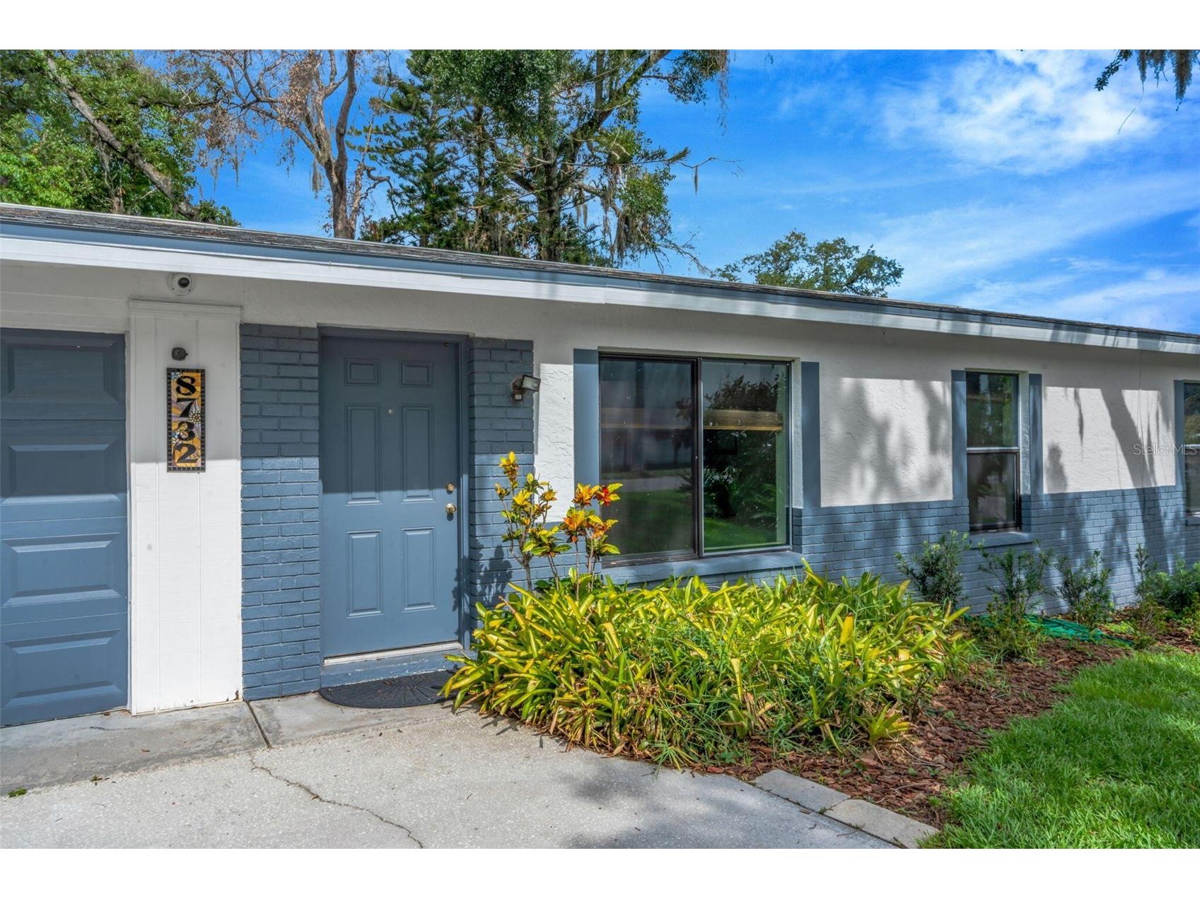 8732 Overlook Drive Tampa FL 33617 O6413812 image11