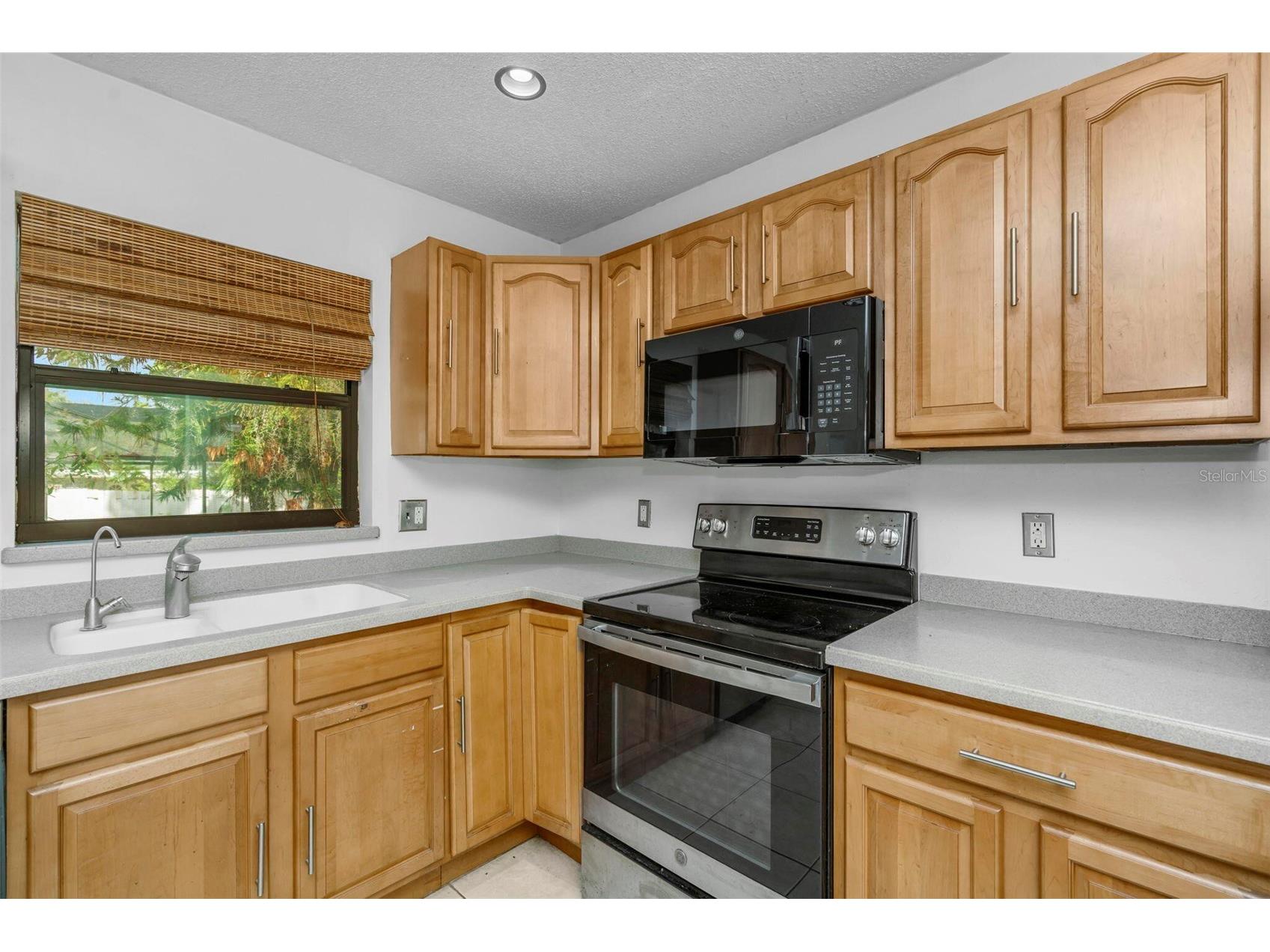 8732 Overlook Drive Tampa FL 33617 O6413812 image21