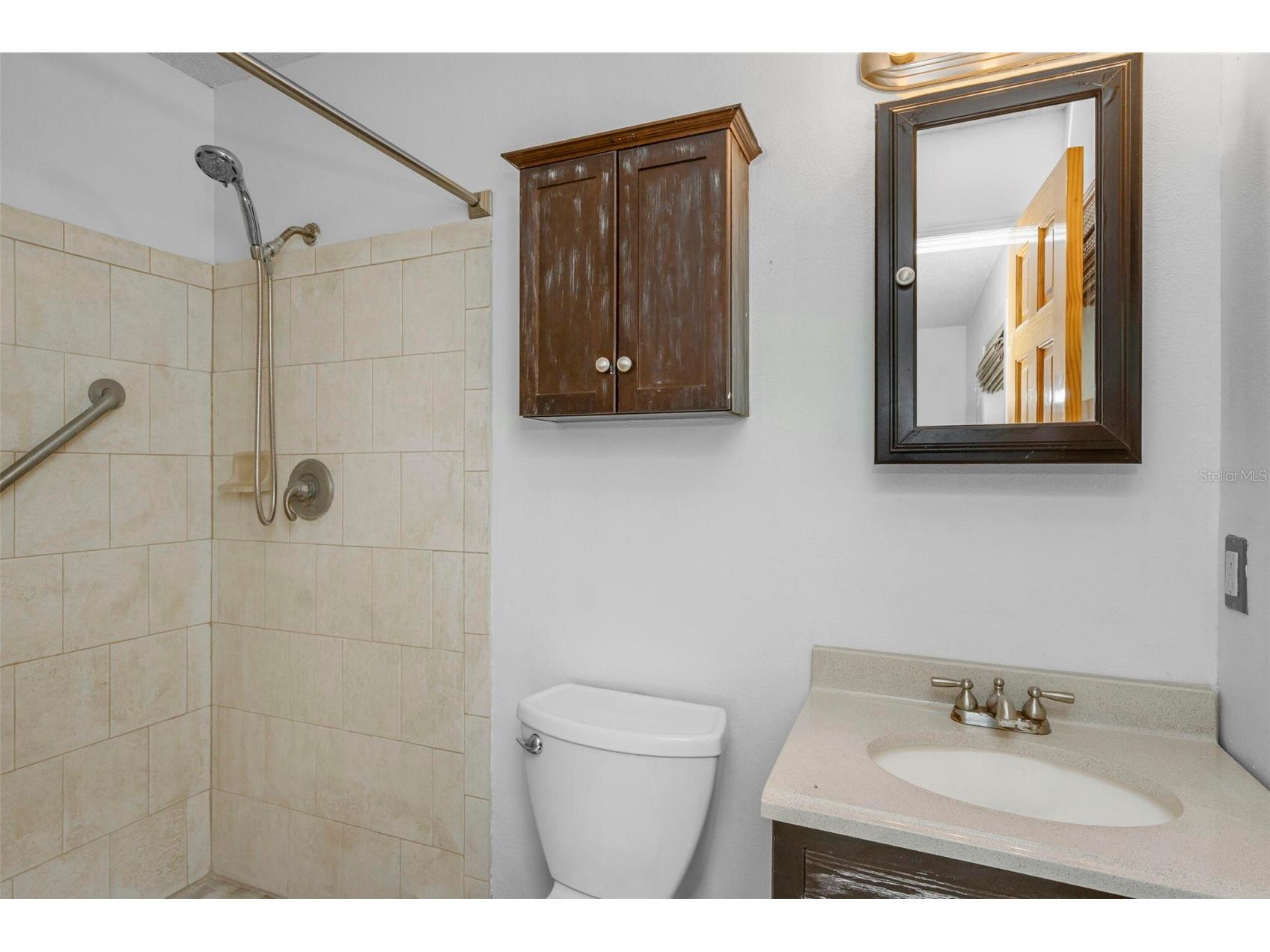8732 Overlook Drive Tampa FL 33617 O6413812 image33