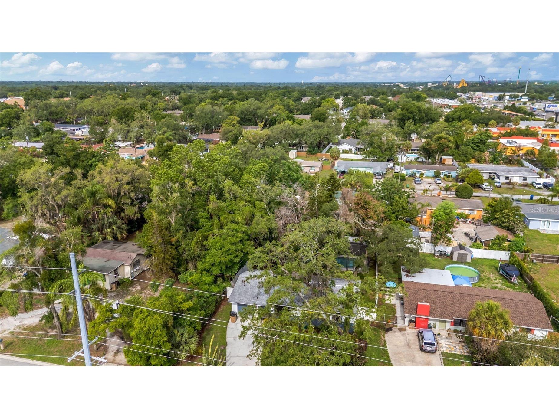 8732 Overlook Drive Tampa FL 33617 O6413812 image35