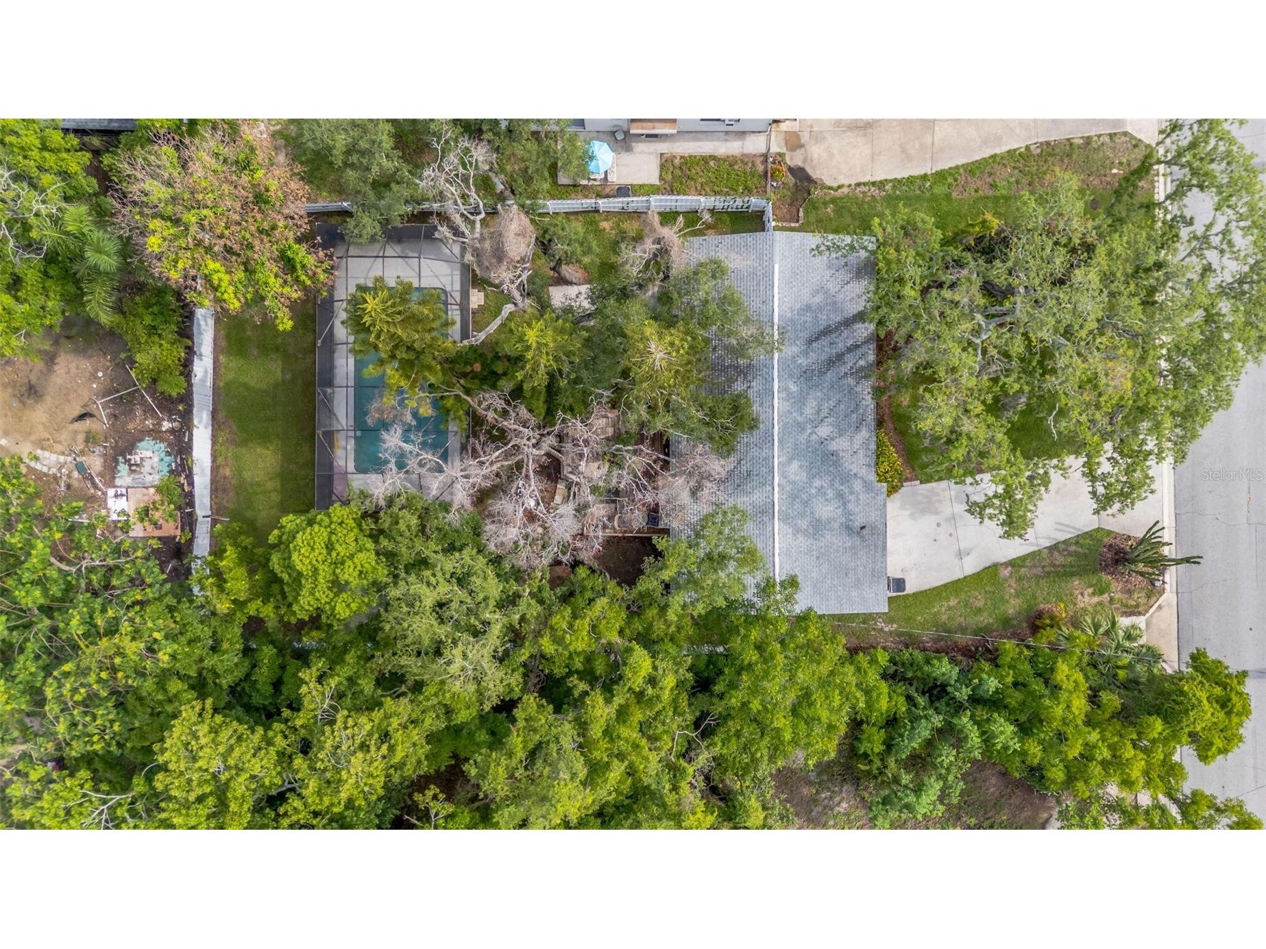 8732 Overlook Drive Tampa FL 33617 O6413812 image38
