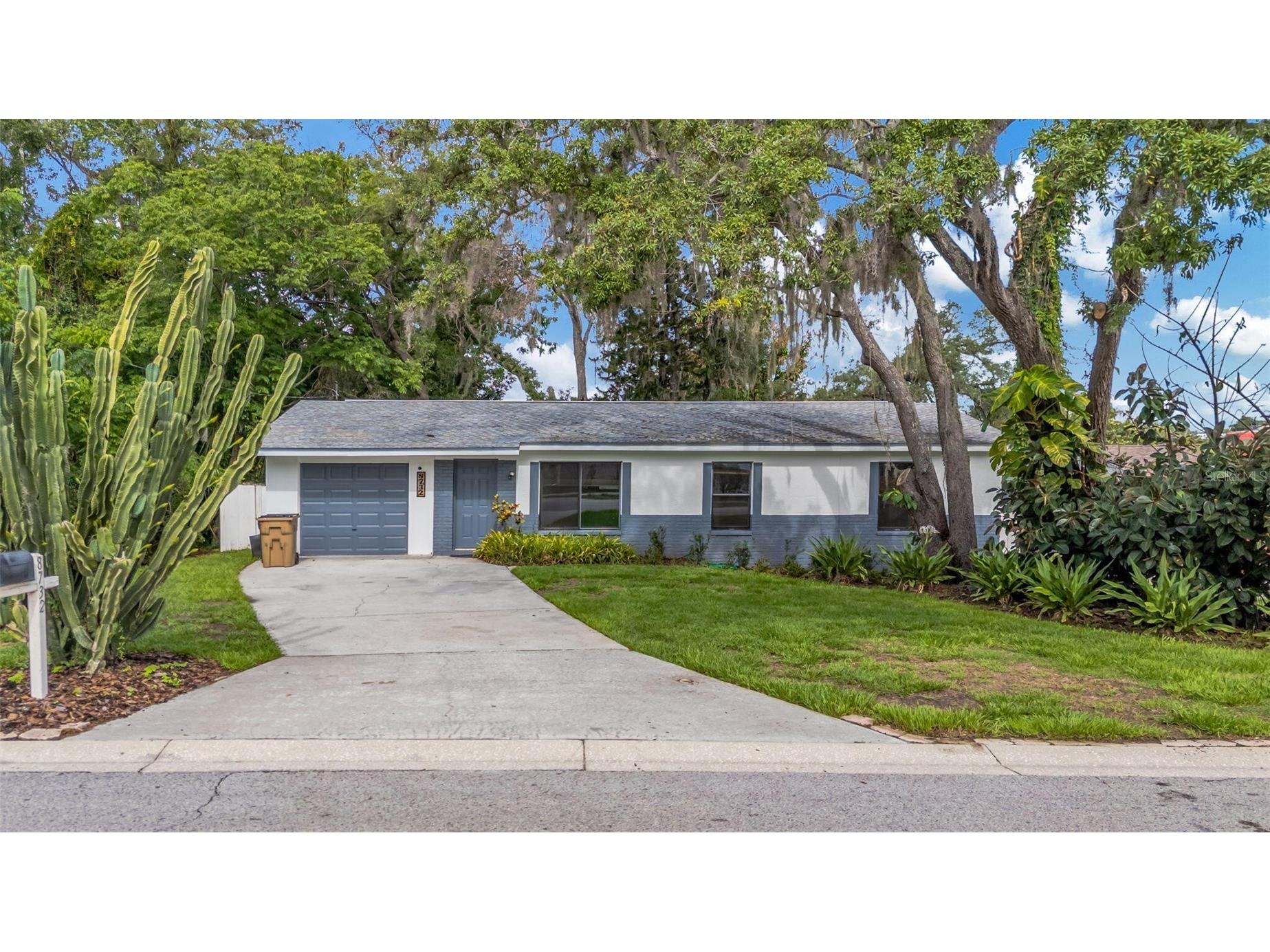 8732 Overlook Drive Tampa FL 33617 O6413812 image40