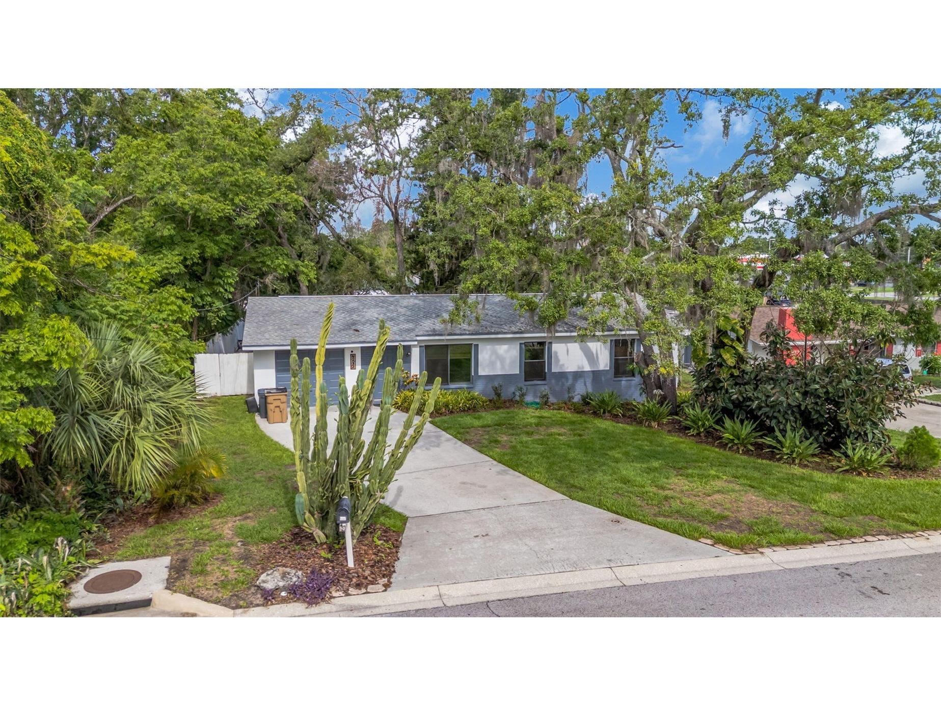 8732 Overlook Drive Tampa FL 33617 O6413812 image7