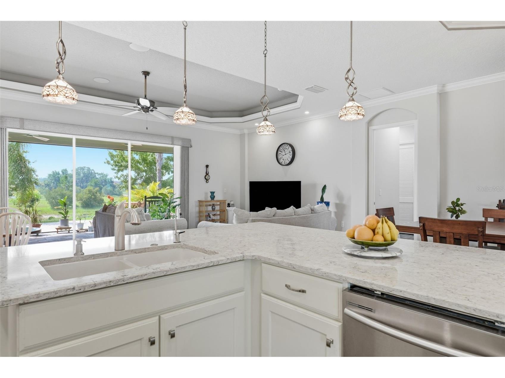 8732 Providence Court Mount Dora FL 32757 - LAKES OF MOUNT DORA G5115090 image22