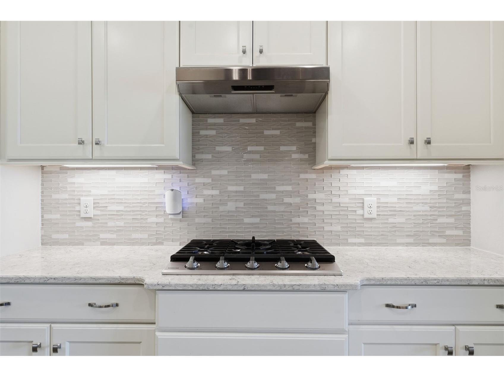 8732 Providence Court Mount Dora FL 32757 - LAKES OF MOUNT DORA G5115090 image23