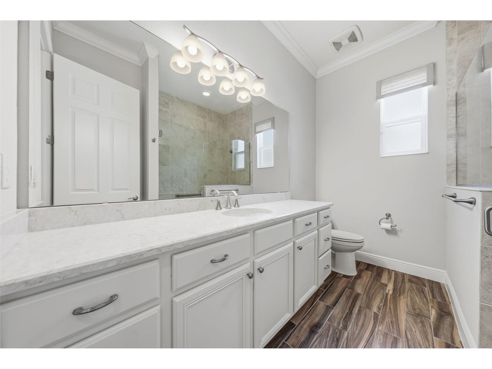 8732 Providence Court Mount Dora FL 32757 - LAKES OF MOUNT DORA G5115090 image36