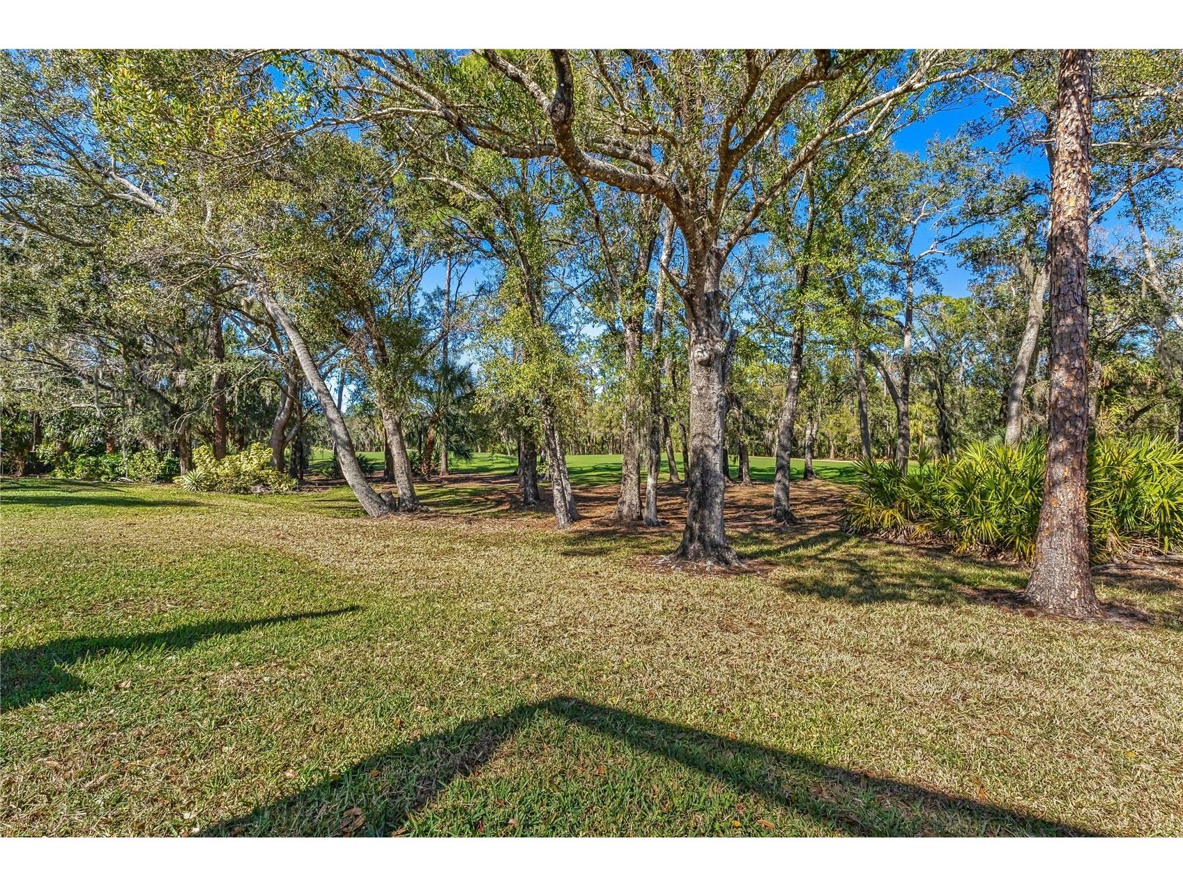 8733 49th Terrace East Bradenton FL 34211 A4680001 image35