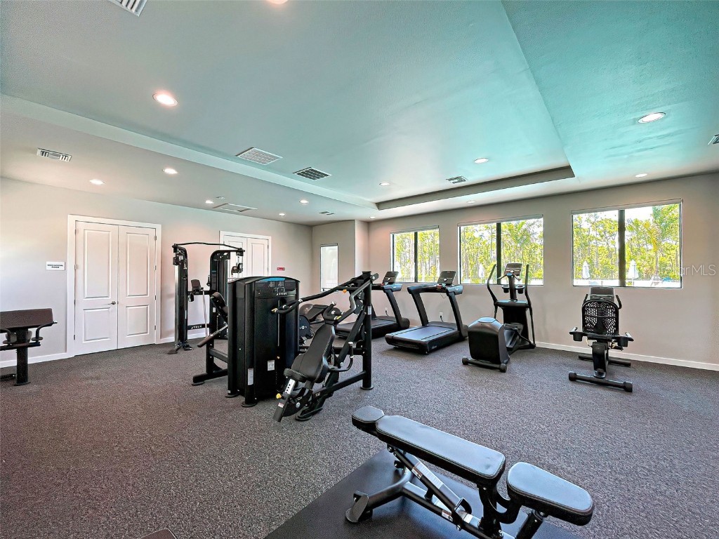 8733 Seasalt Loop Englewood FL 34224 C7513087 image47