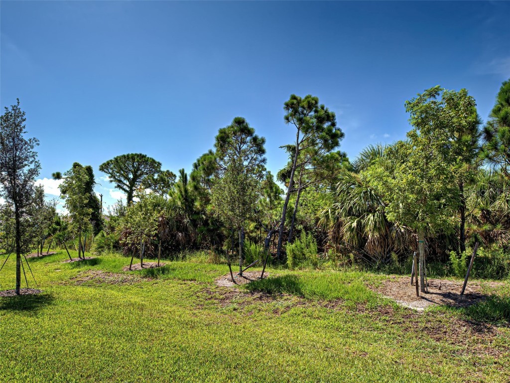 8733 Seasalt Loop Englewood FL 34224 C7513087 image7