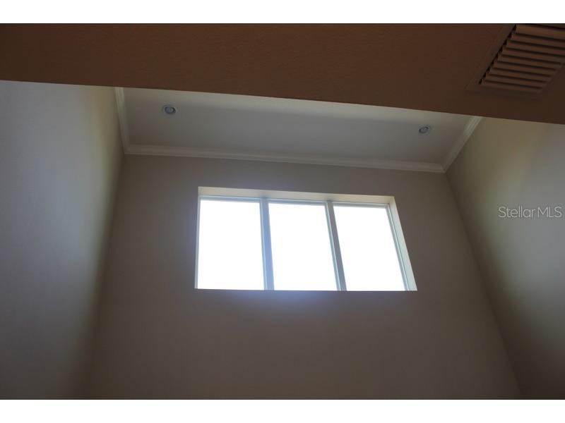 8733 Terracina Lake Drive Tampa FL 33625 T3552398 image10