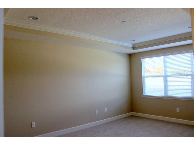 8733 Terracina Lake Drive Tampa FL 33625 T3552398 image12