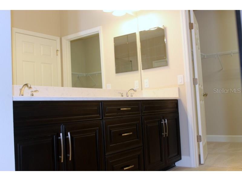 8733 Terracina Lake Drive Tampa FL 33625 T3552398 image13