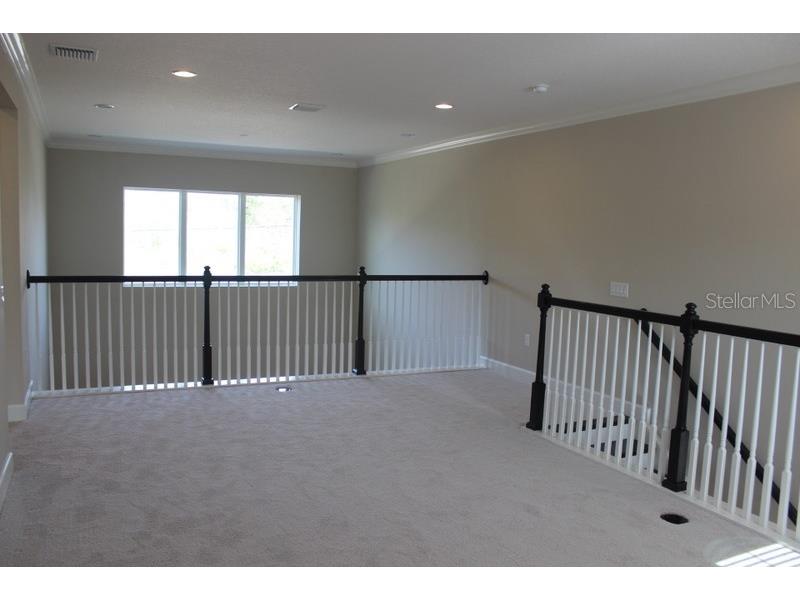 8733 Terracina Lake Drive Tampa FL 33625 T3552398 image15