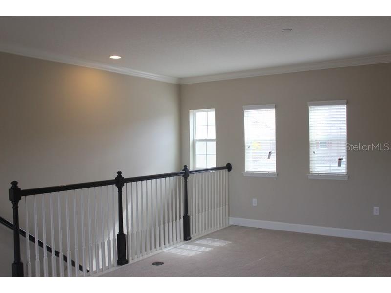 8733 Terracina Lake Drive Tampa FL 33625 T3552398 image16