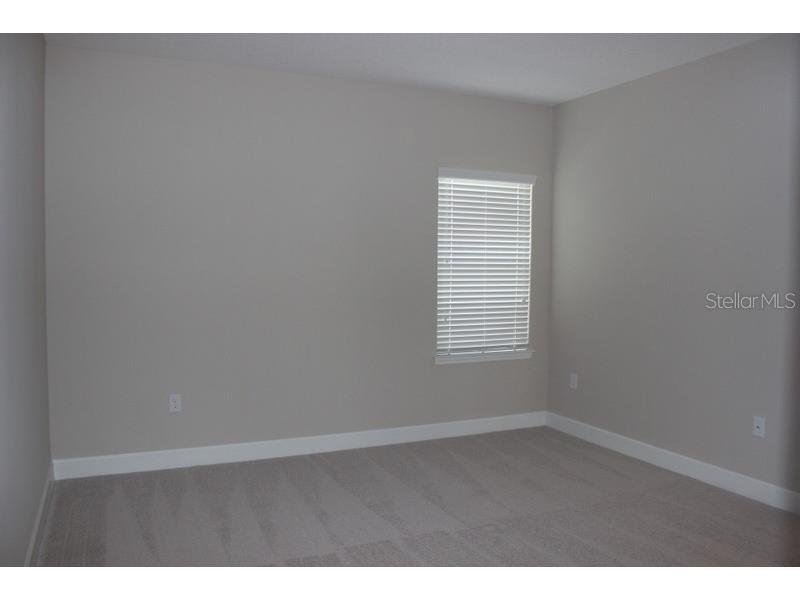 8733 Terracina Lake Drive Tampa FL 33625 T3552398 image17