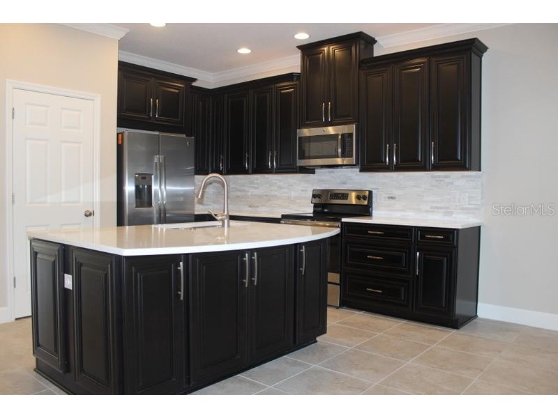 8733 Terracina Lake Drive Tampa FL 33625 T3552398 image3