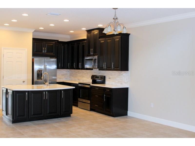 8733 Terracina Lake Drive Tampa FL 33625 T3552398 image4