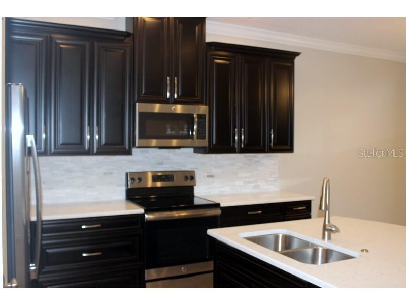 8733 Terracina Lake Drive Tampa FL 33625 T3552398 image5