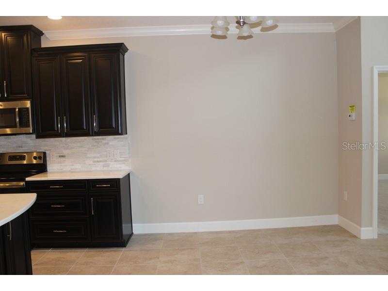 8733 Terracina Lake Drive Tampa FL 33625 T3552398 image6