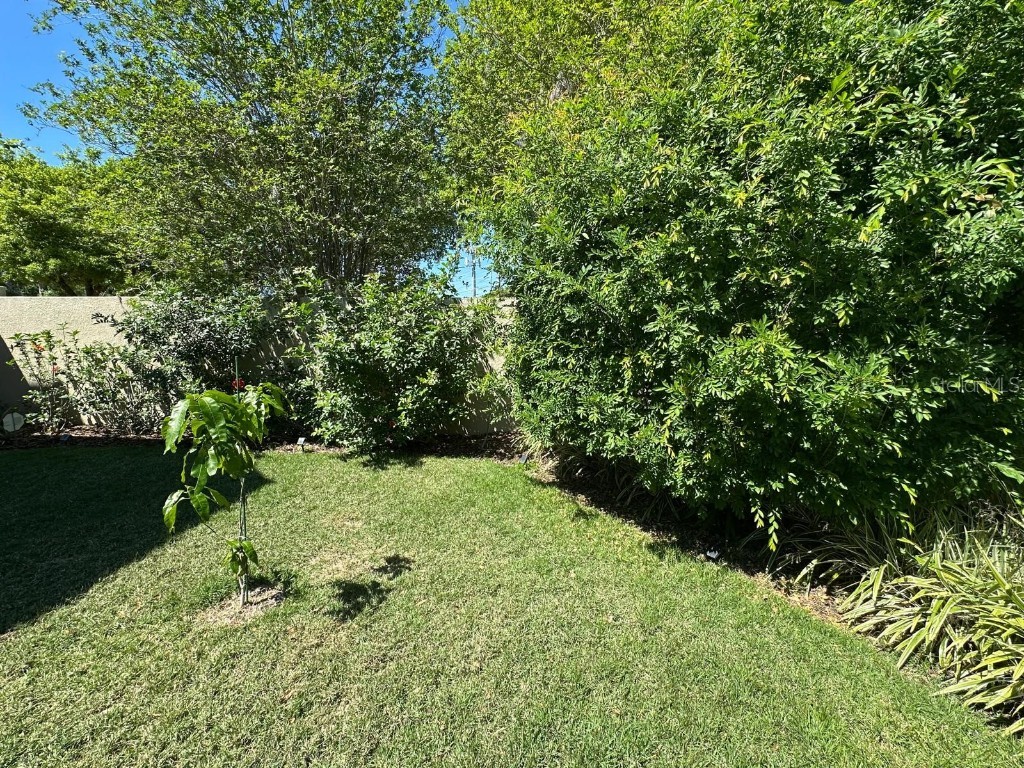 8734 Crestgate Circle Orlando FL 32819 O6219523 image52