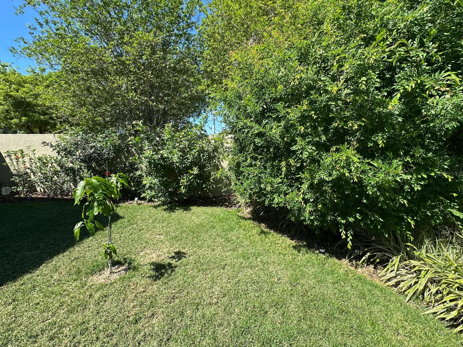 8734 Crestgate Circle Orlando FL 32819 O6391734 image37