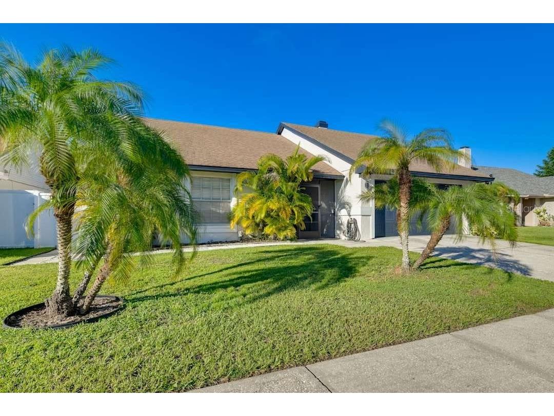 8734 Osage Drive Tampa FL 33634 TB8442575 image3