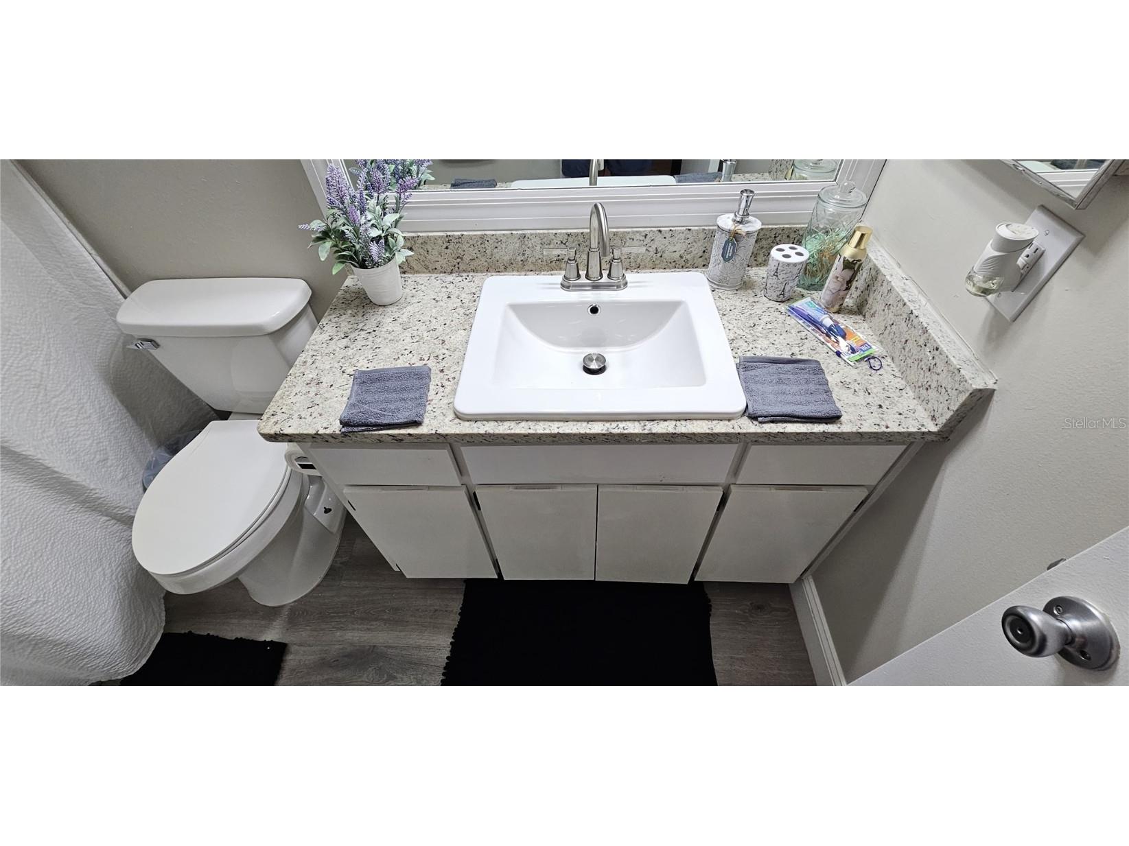 8734 Osage Drive Tampa FL 33634 TB8442575 image52