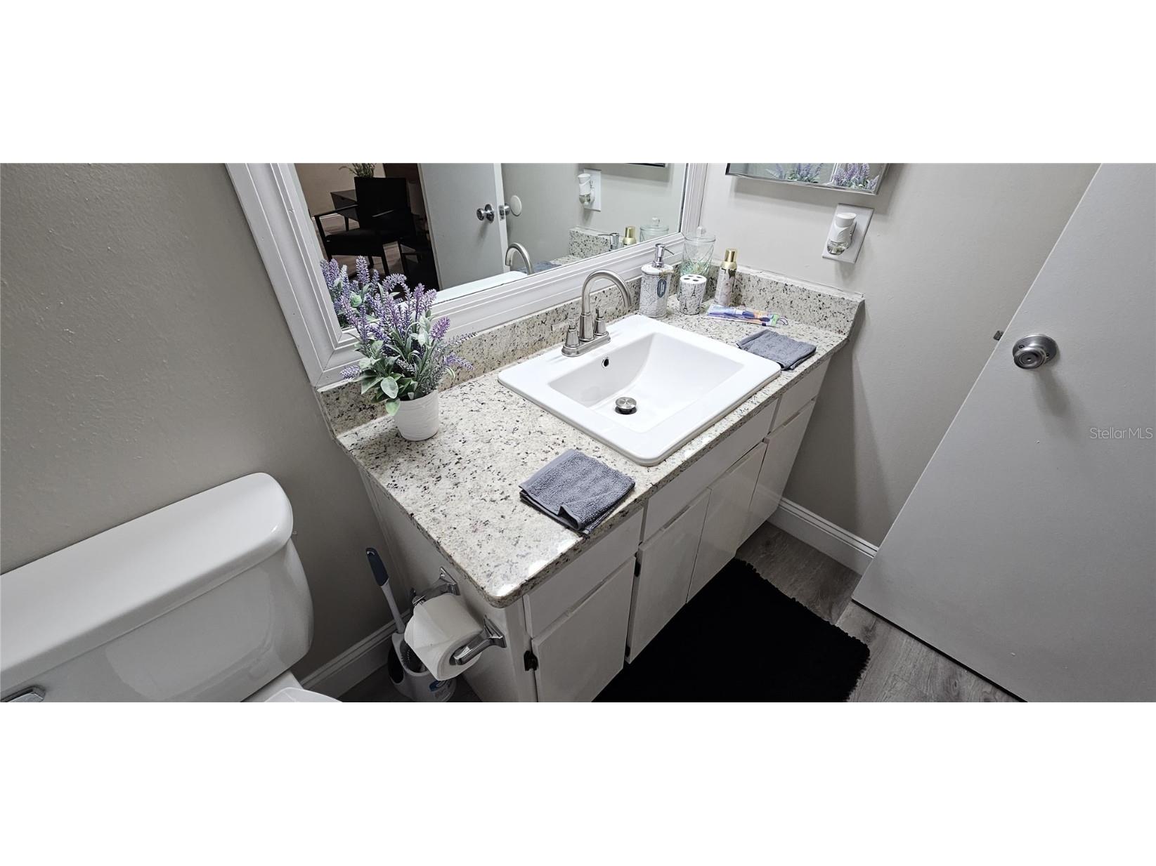 8734 Osage Drive Tampa FL 33634 TB8442575 image57