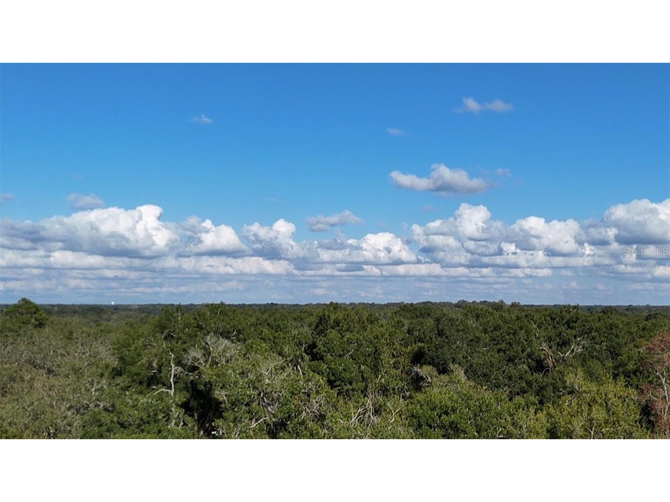 8735 Cr 631a Bushnell FL 33513 OM712422 image15