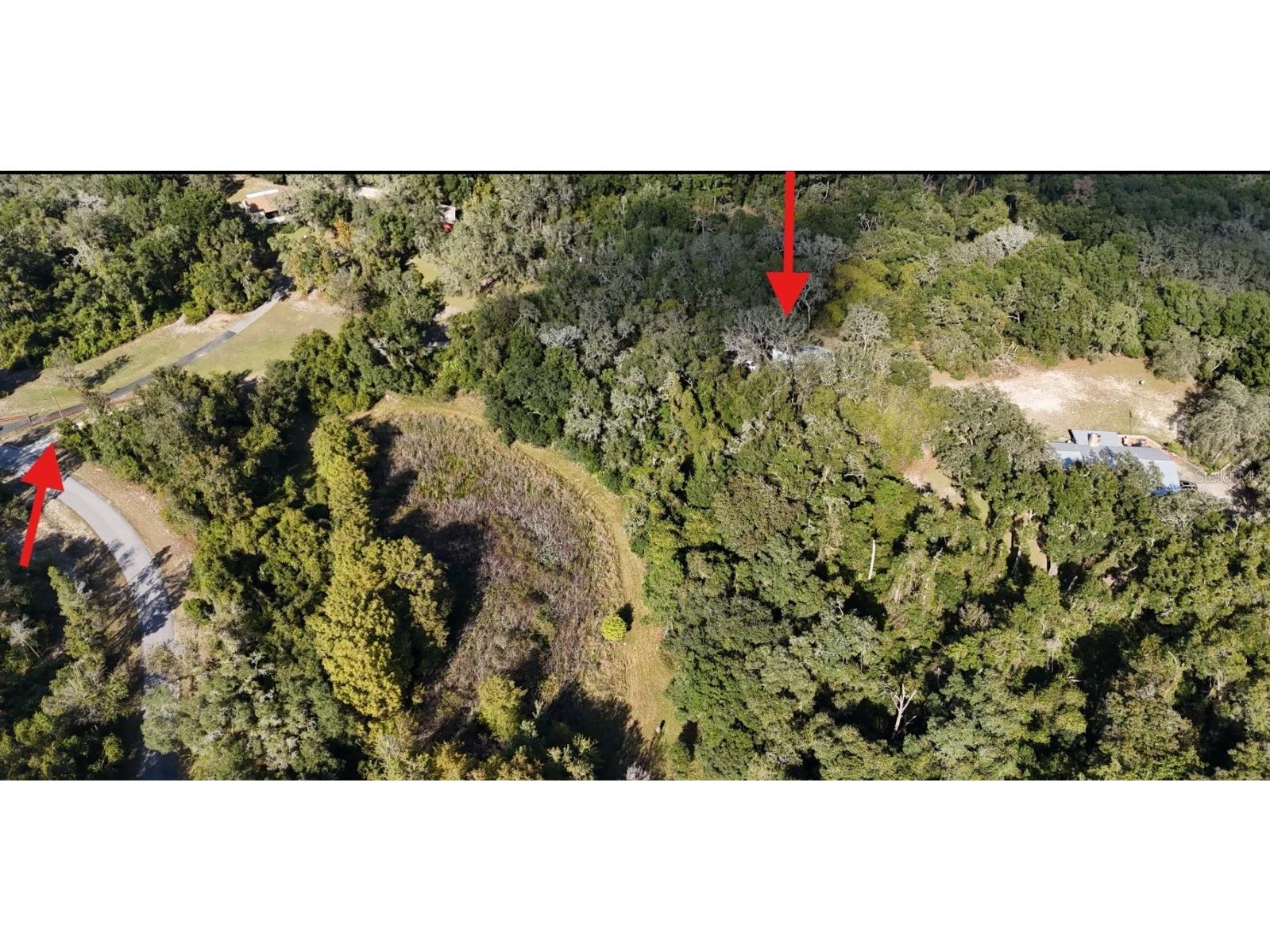 8735 Cr 631a Bushnell FL 33513 OM712422 image3