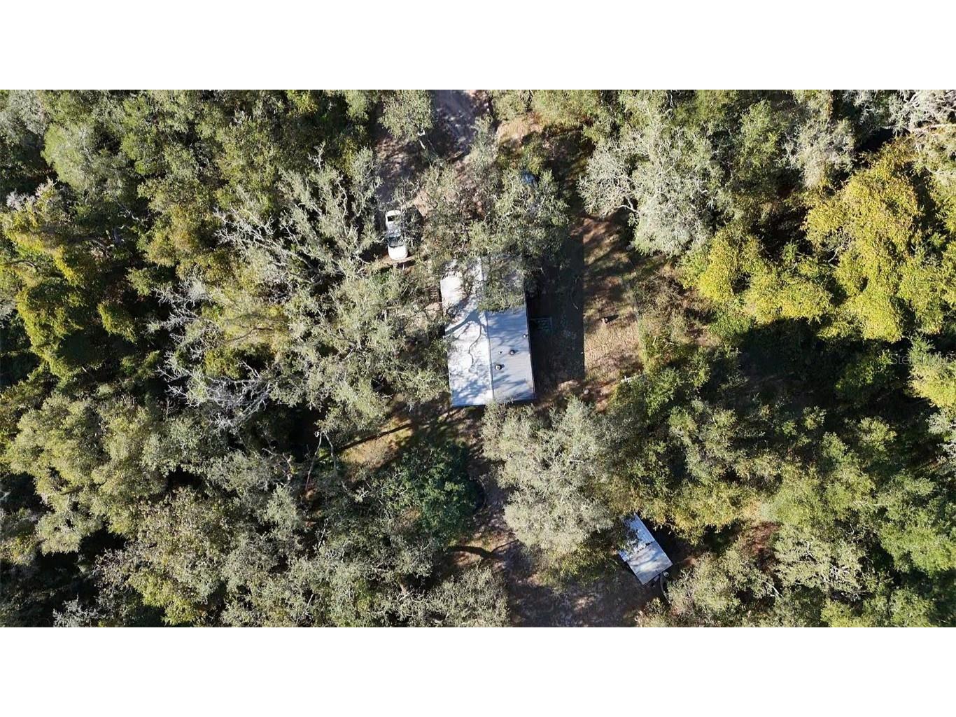 8735 Cr 631a Bushnell FL 33513 OM712422 image9