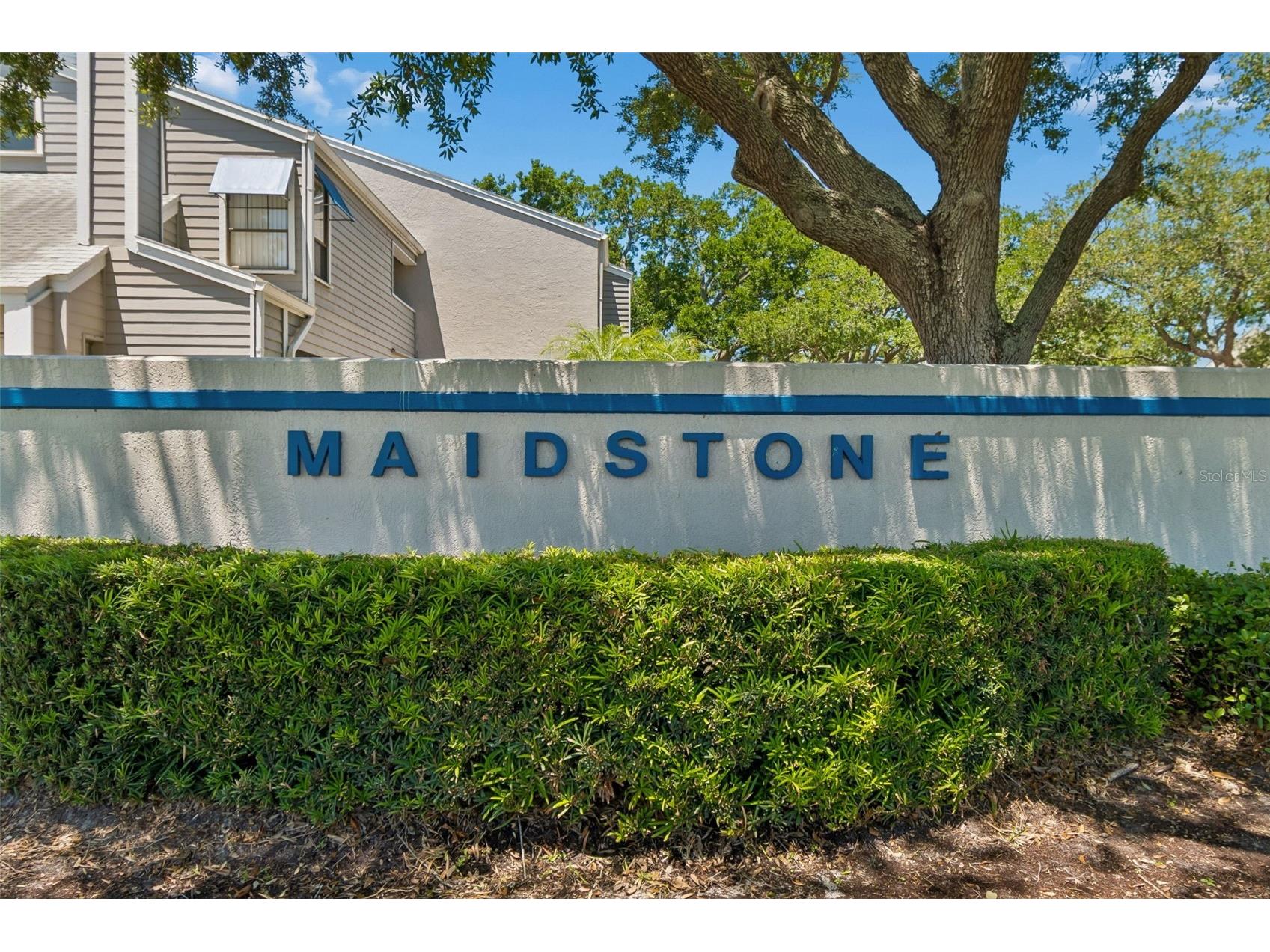 8737 Bardmoor Place #102 Seminole FL 33777 TB8501079 image55