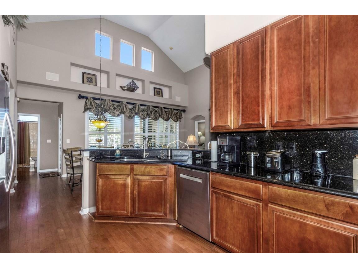 8737 Linebrook Drive Trinity FL 34655 W7880051 image17