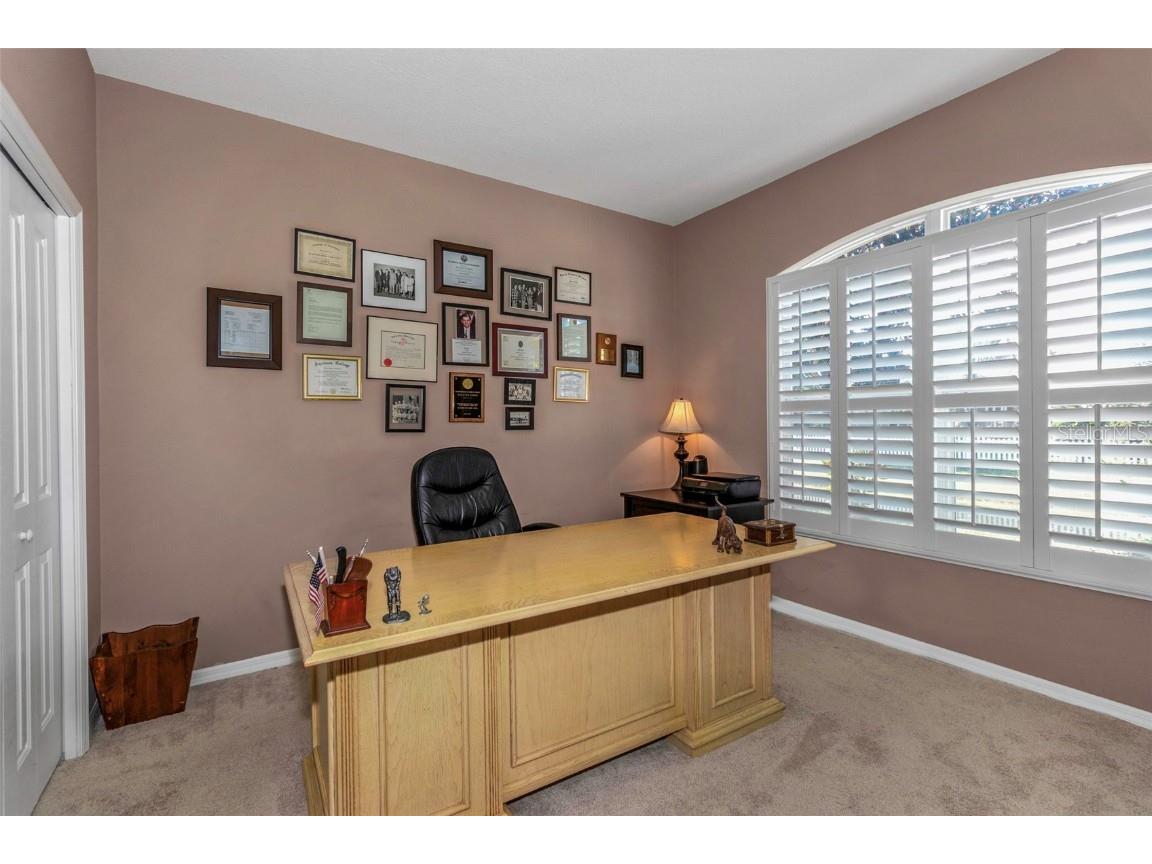 8737 Linebrook Drive Trinity FL 34655 W7880051 image22