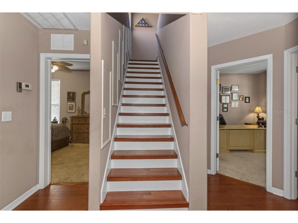 8737 Linebrook Drive Trinity FL 34655 W7880051 image24