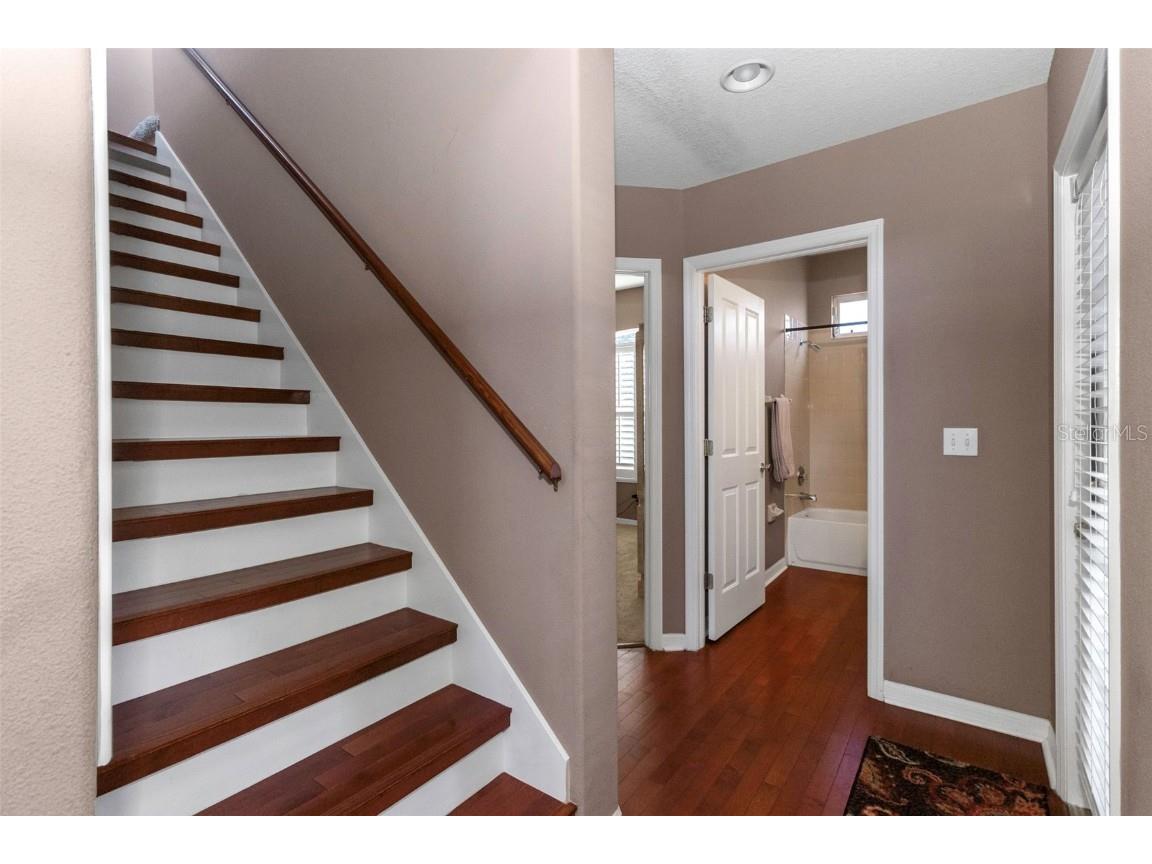 8737 Linebrook Drive Trinity FL 34655 W7880051 image25