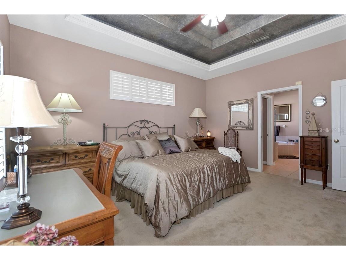 8737 Linebrook Drive Trinity FL 34655 W7880051 image26