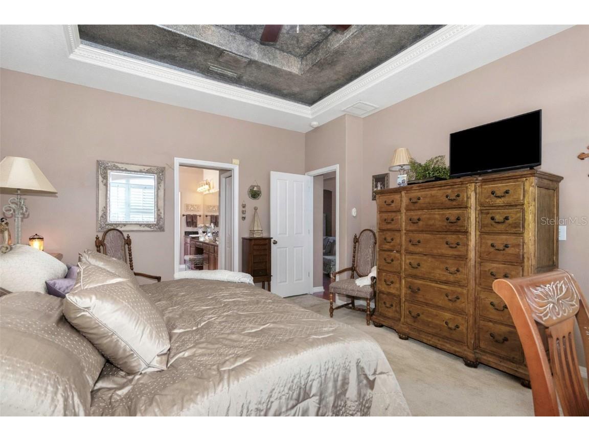 8737 Linebrook Drive Trinity FL 34655 W7880051 image29