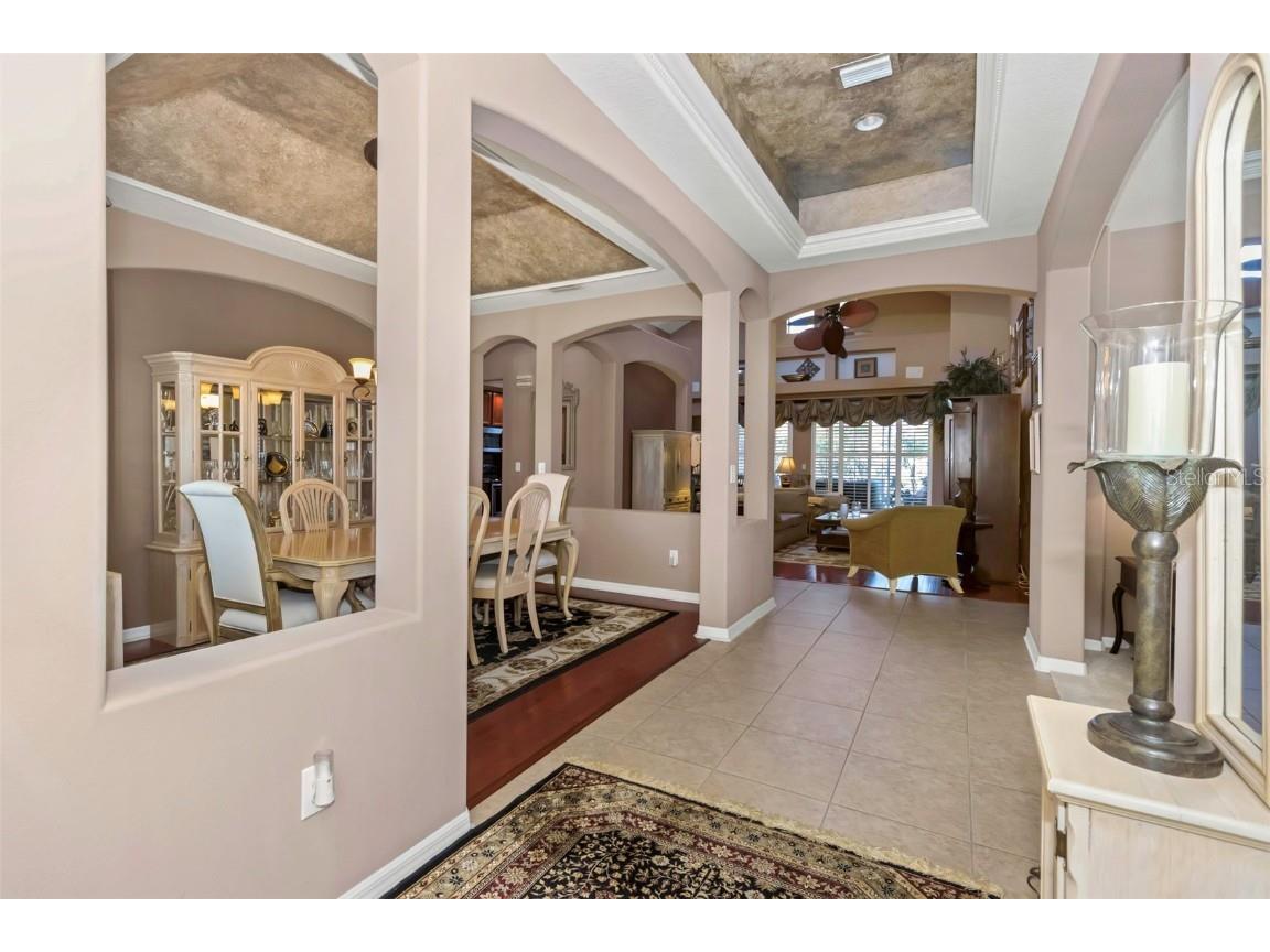 8737 Linebrook Drive Trinity FL 34655 W7880051 image3